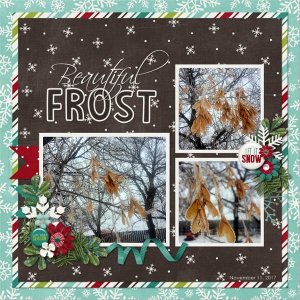 Beautiful Frost