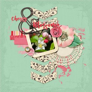 Cherry Blossoms