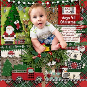 Too Many Days to Christmas