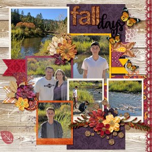 fall days