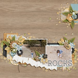 Rocks
