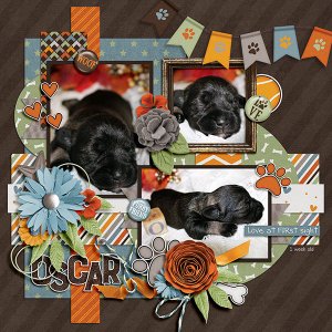 Oscar