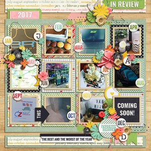 In Review 2017