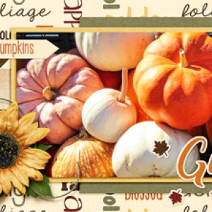 November 2107 Brush Challenge