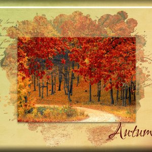 ATC 2017-172 Autumn