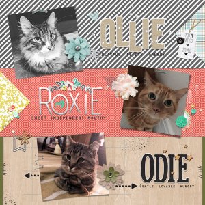 The 3 Cats | November 2017