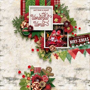 Rustic Plaid Christmas Grab Bag