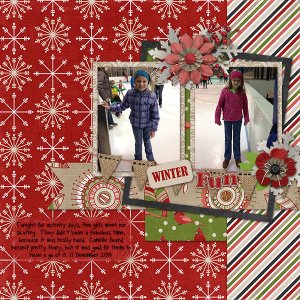 Winter Fun