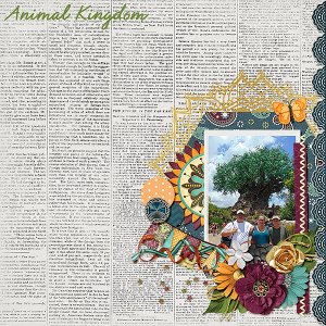 Animal Kingdom 2016