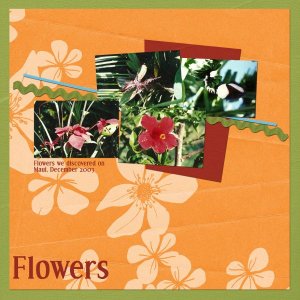 Flowers