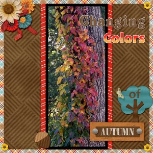 Changing Colors