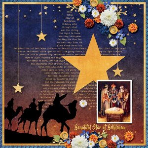 BEAUTIFUL STAR OF BETHLEHEM