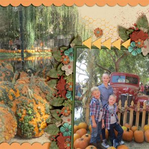 Pumpkin Patch