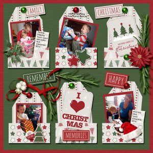 Christmas 2016 grandkids