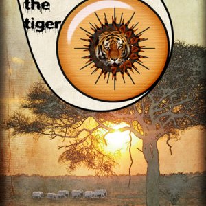 eye of the tiger
