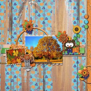 Autumn Days