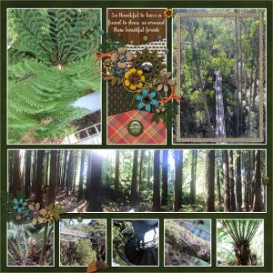 forest_scenes