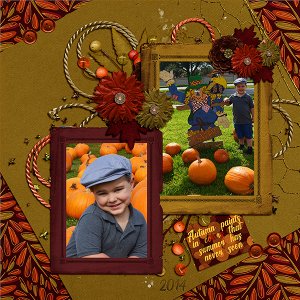 Pumpkin Patch