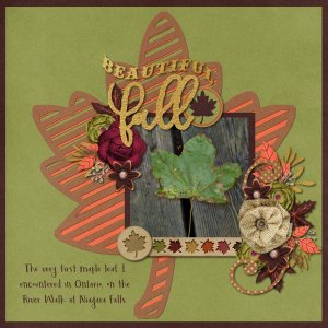 Beautiful Fall
