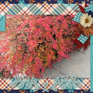 November