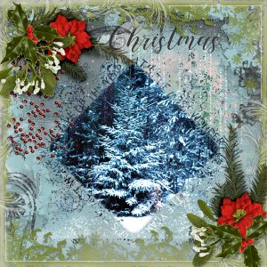 pbs_ChristmasHug2_Pia