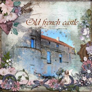 Old-french-castle