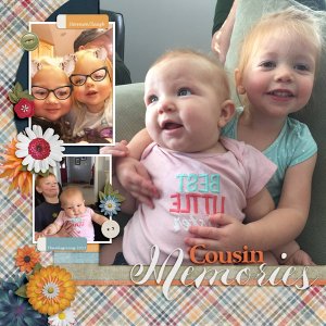 Cousins