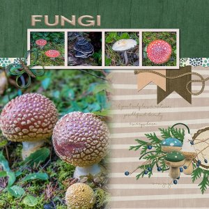Fungus Amoung Us