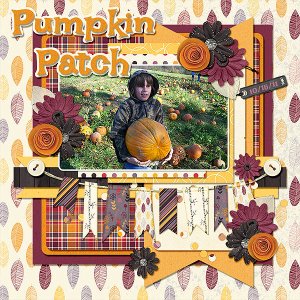 Pumpkin Patch