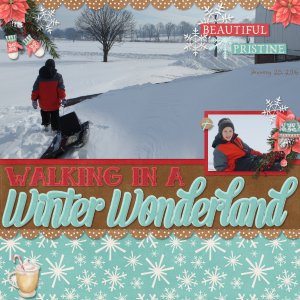 Walking In A Winter Wonderland