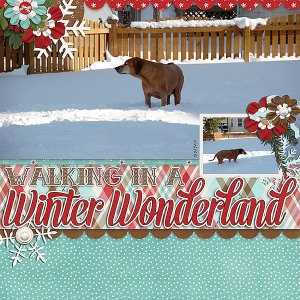 winter wonderland