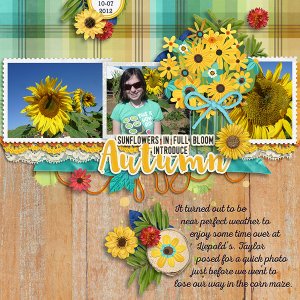 2012 Autumn Sunflowers