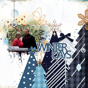 Winter Days