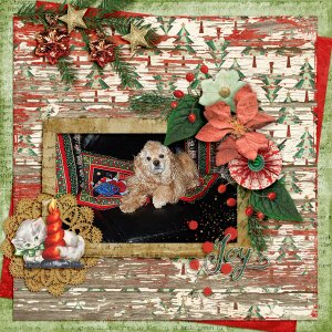 DD_dfdd_VintageChristmas_Pippin