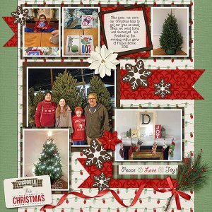 Christmas Tree 2016