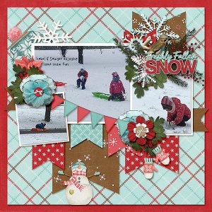 Freshly Fallen Snow
