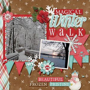 Winter Walk