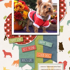 ATC 2017-178 Operation Santa Paws