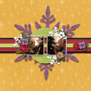Decorate the Tree