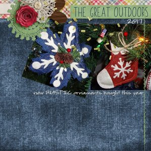 rustic ornaments