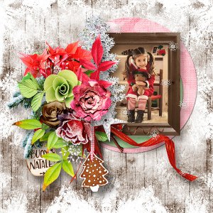 Christmas Colors