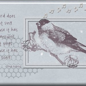 Singing Bird