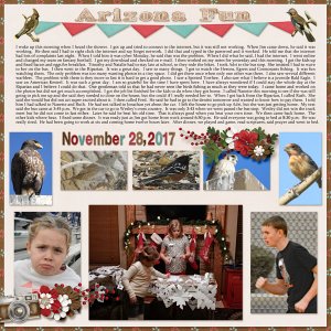11-November_28_2017_small