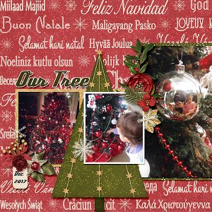 Our tree