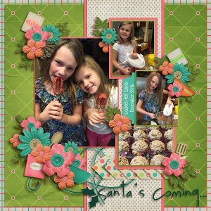 Cookies For Santa