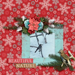 Beautiful-nature1