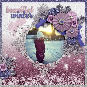 Beautiful-winter