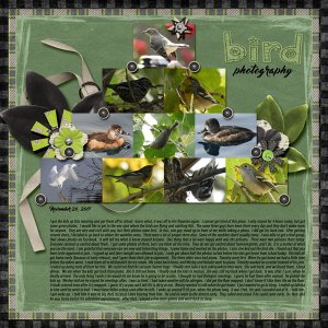 11-November_29_2017_small