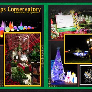 Winter Flower Show + Light Garden