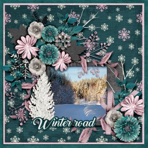 Winter-road
